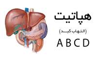 هفته اطلاع رسانی هپاتیت/عفونت های ویروسی کبد در قالب هپاتیت D.E ،C ،B ،A طبقه بندی می شود