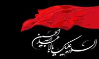 پیام تسلیت مدیر شبکه بهداشت و درمان شهرستان فردیس به مناسبت فرارسیدن ایام سوگواری سید و سالار شهیدان